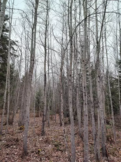 Tbd Skanee, L'anse, MI 49946 photo 8