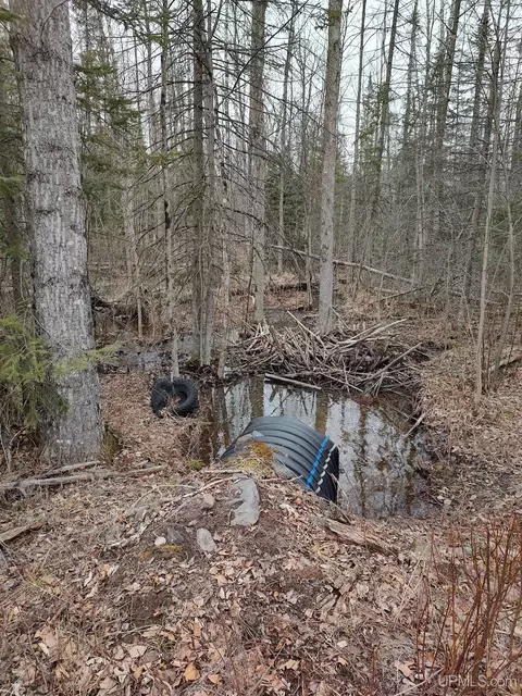 Tbd Skanee, L'anse, MI 49946 photo 16