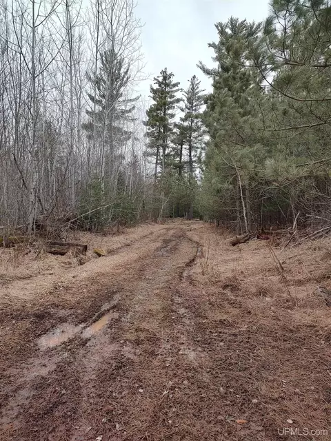 Tbd Skanee, L'anse, MI 49946 photo 24
