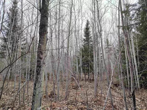 Tbd Skanee, L'anse, MI 49946 photo 32