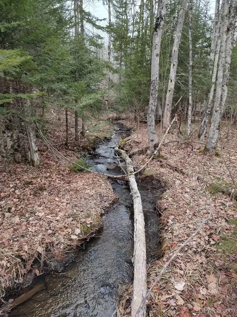 Tbd Skanee, L'anse, MI 49946