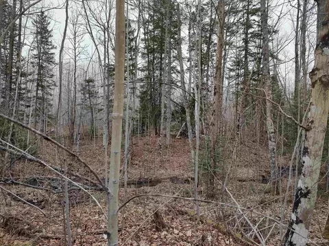 Tbd Skanee, L'anse, MI 49946 photo 31