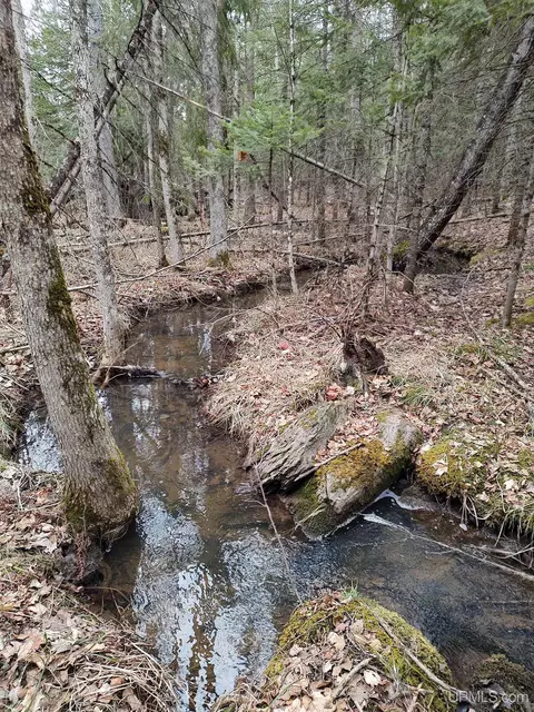 Tbd Skanee, L'anse, MI 49946 photo 2