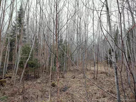 Tbd Skanee, L'anse, MI 49946 photo 6