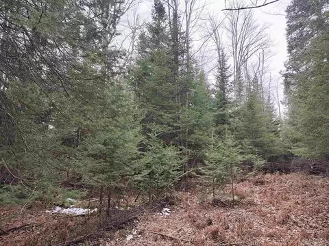 Tbd Skanee, L'anse, MI 49946 photo 29