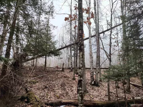 Tbd Skanee, L'anse, MI 49946 photo 4
