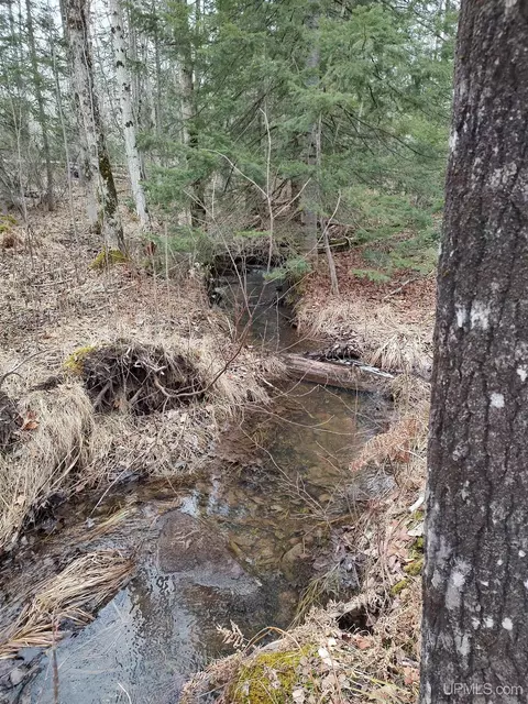Tbd Skanee, L'anse, MI 49946 photo 15