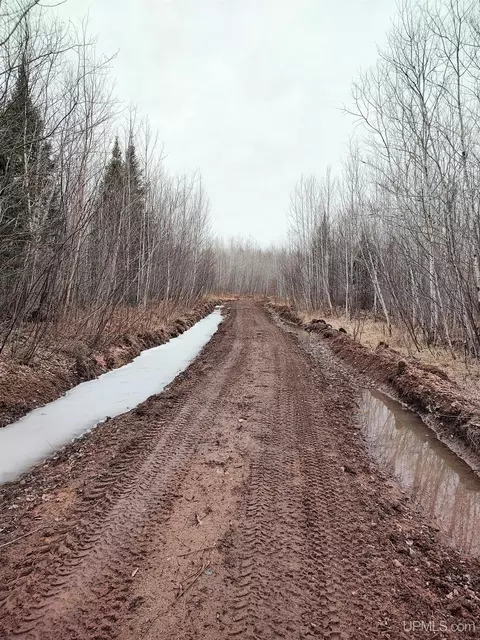 Tbd Skanee, L'anse, MI 49946 photo 22