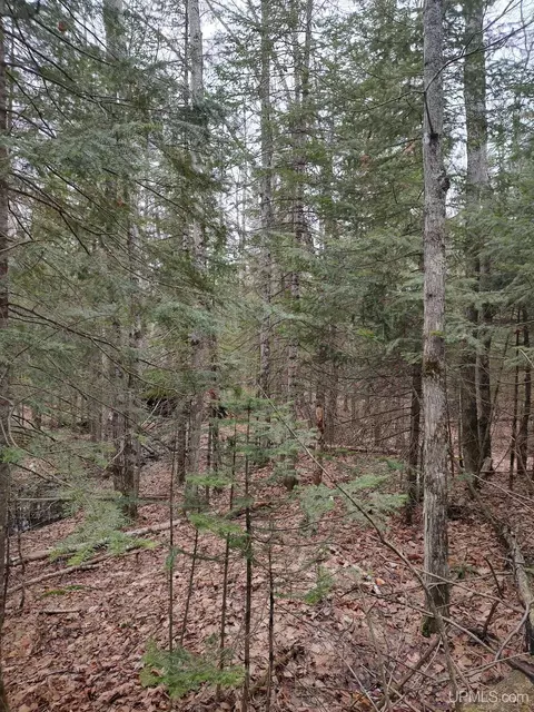 Tbd Skanee, L'anse, MI 49946 photo 10