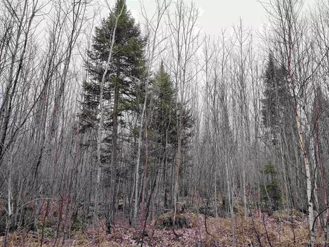 Tbd Skanee, L'anse, MI 49946 photo 28
