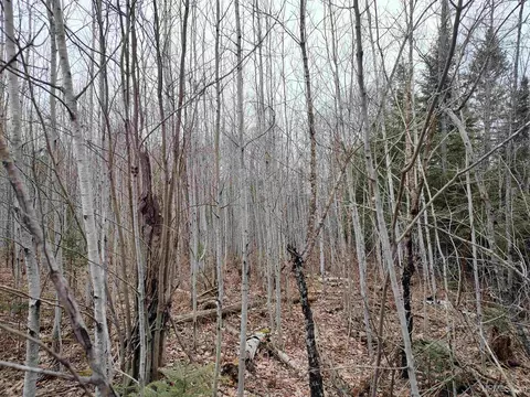 Tbd Skanee, L'anse, MI 49946 photo 9