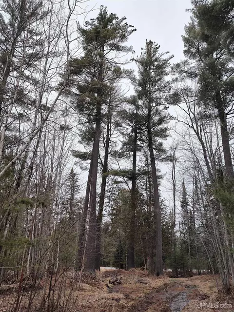 Tbd Skanee, L'anse, MI 49946 photo 27