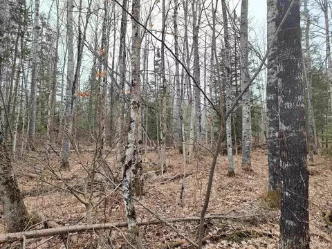 Tbd Skanee, L'anse, MI 49946 photo 11