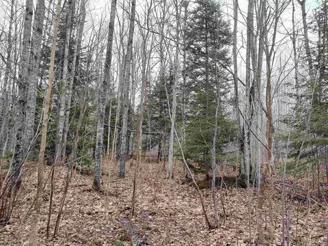 Tbd Skanee, L'anse, MI 49946 photo 13