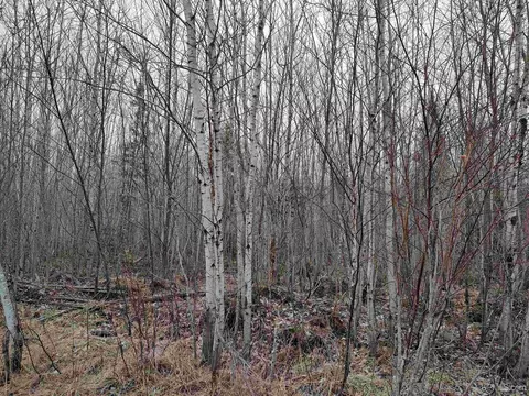 Tbd Skanee, L'anse, MI 49946 photo 34