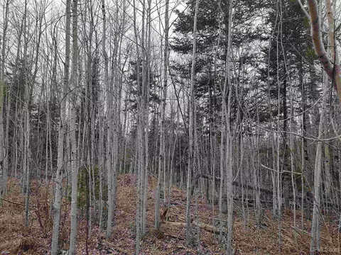 Tbd Skanee, L'anse, MI 49946 photo 3