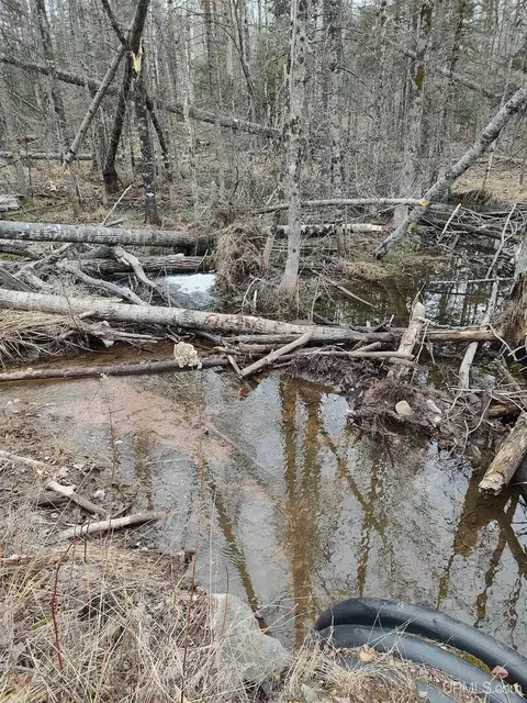 Tbd Skanee, L'anse, MI 49946 photo 18