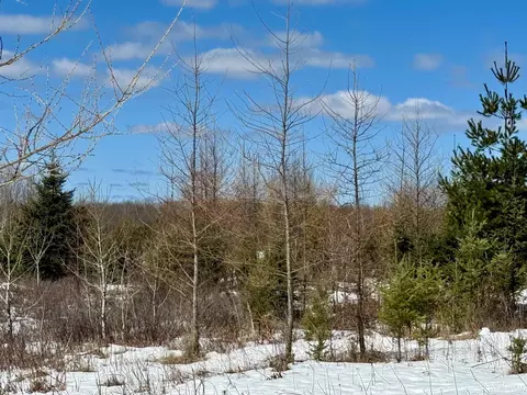 Tbd Truax D Ln, Cornell, MI 49818 photo 13