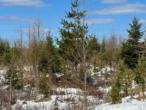 Tbd Truax D Ln, Cornell, MI 49818 photo 16