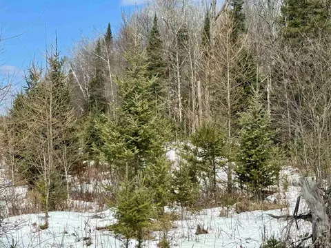 Tbd Truax D Ln, Cornell, MI 49818 photo 15