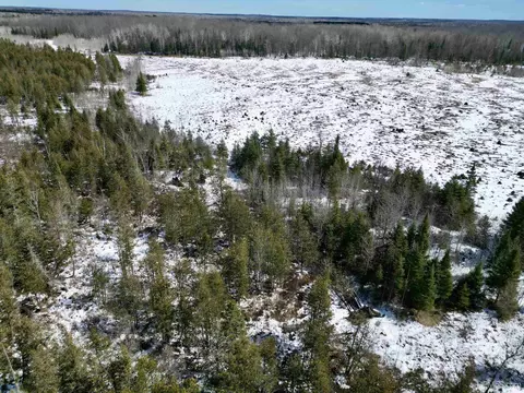 Tbd Truax D Ln, Cornell, MI 49818 photo 9