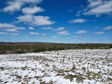 Tbd Truax D Ln, Cornell, MI 49818 photo 2
