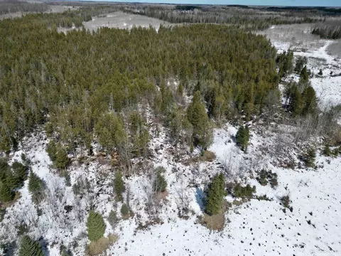Tbd Truax D Ln, Cornell, MI 49818 photo 3