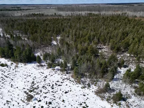 Tbd Truax D Ln, Cornell, MI 49818 photo 6