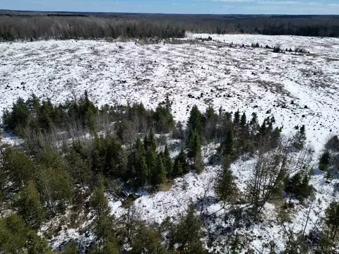 Tbd Truax D Ln, Cornell, MI 49818 photo 10