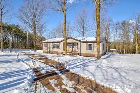 Exterior - N15107 Town Line, Powers, MI 49874 photo 8 of 17