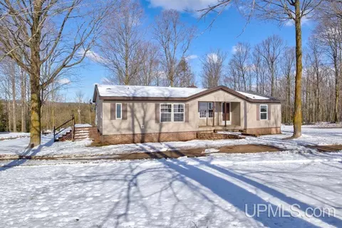 Exterior - N15107 Town Line, Powers, MI 49874 photo 4 of 17