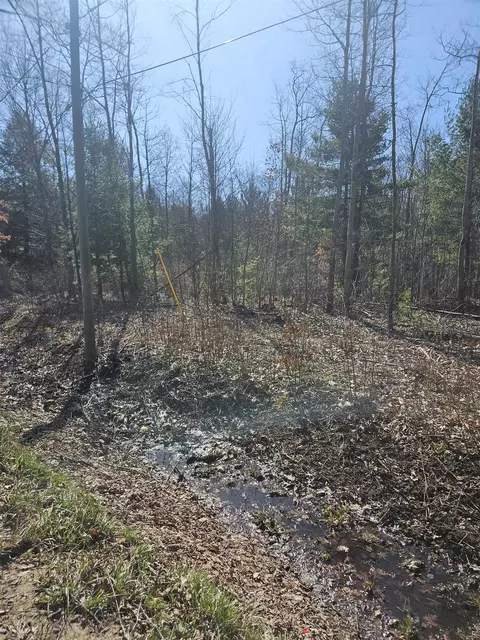 Lot 1, Harrison, MI 48625
