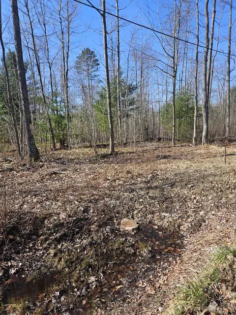 Lot 1, Harrison, MI 48625 photo 2