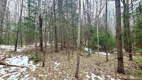 25 Acres County Hwy T, Summit Lake-wi, WI 54485