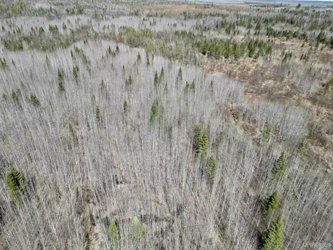 tbd Us Hwy 41, Rapid River, MI 49878