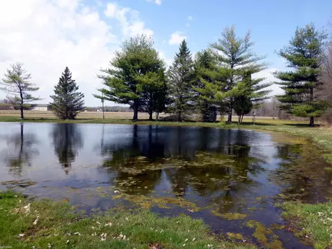 View/Area - 9880 Puttygut, Casco, MI 48064 photo 11 of 11