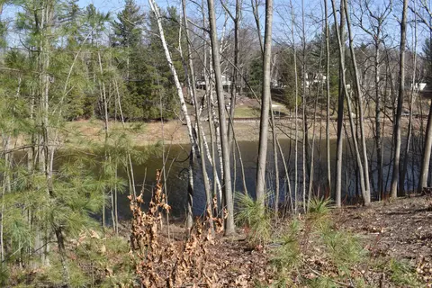 1138 Rivers Ter, Gladwin, MI 48624 photo 15