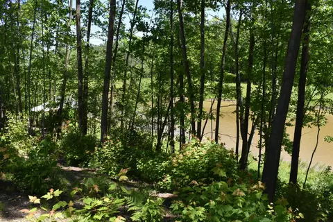 1138 Rivers Ter, Gladwin, MI 48624 photo 5
