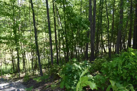 1138 Rivers Ter, Gladwin, MI 48624 photo 6