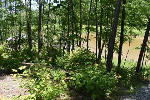 1138 Rivers Ter, Gladwin, MI 48624 photo 4