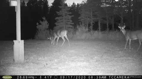 Other - 615 North Cp, Ishpeming, MI 49849 photo 3 of 13