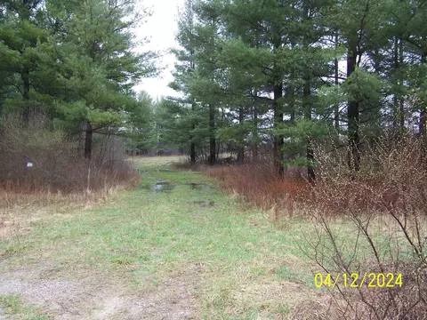 Vacant Brown, Greenwood, MI 48006