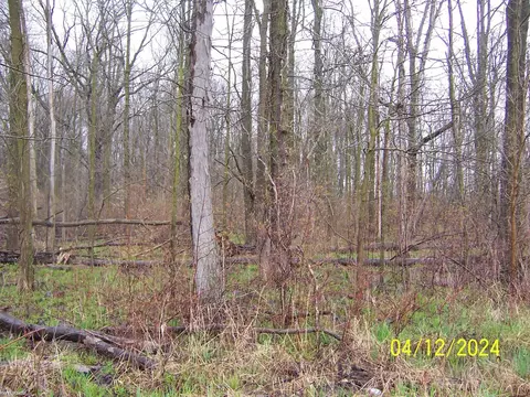 Lot A Masters, Memphis, MI 48041