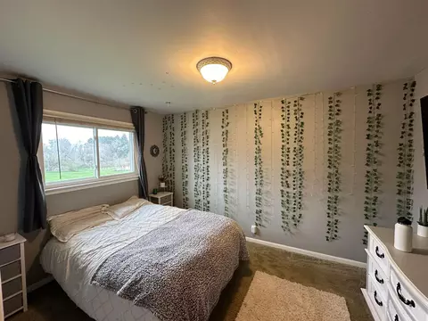 Bedroom - 4142 Gedney Rd, Gladwin, MI 48624 photo 5 of 8