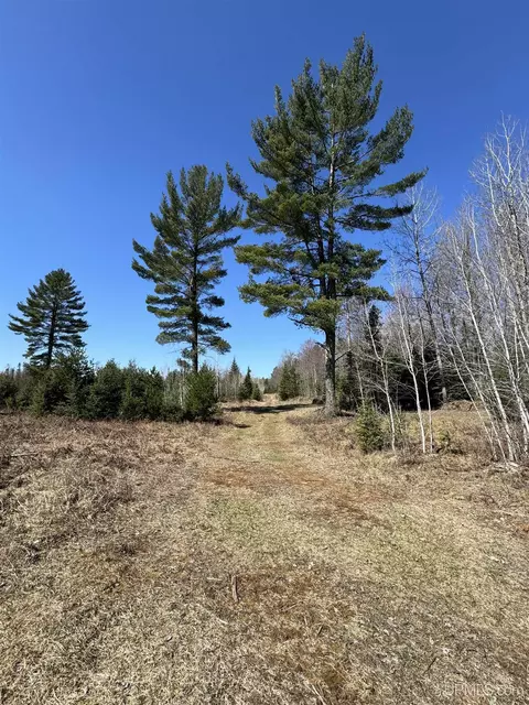 Tbd Cr 577, Vulcan, MI 49892 photo 13