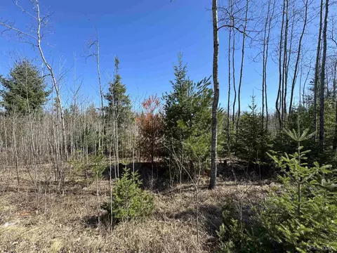 Tbd Cr 577, Vulcan, MI 49892 photo 16