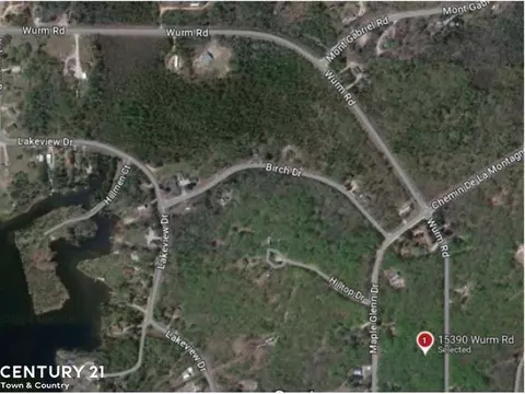 15390 Wurm Rd, Wolverine, MI 49799