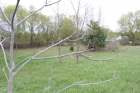 Byron Road V/l, Fowlerville, MI 48836