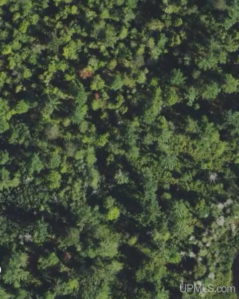 40 Acres Off Black Riv, Republic, MI 49879