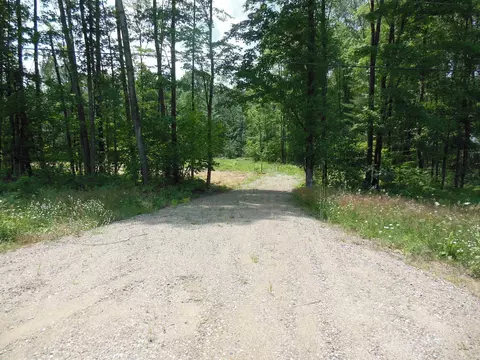 4 73 Acres W M-61, Harrison, MI 48625